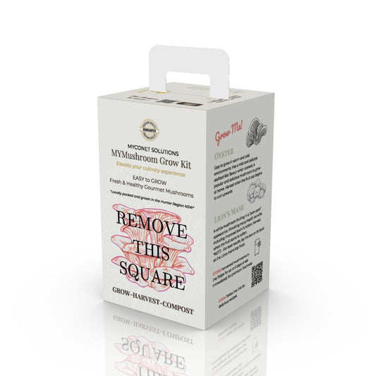 Mushroom Grow Kit - Winter White Oyster