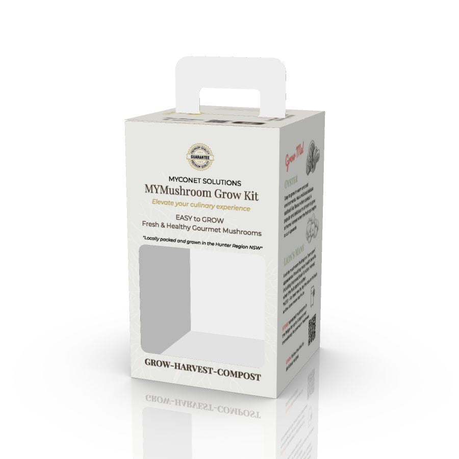 Mushroom Grow Kit - Winter White Oyster