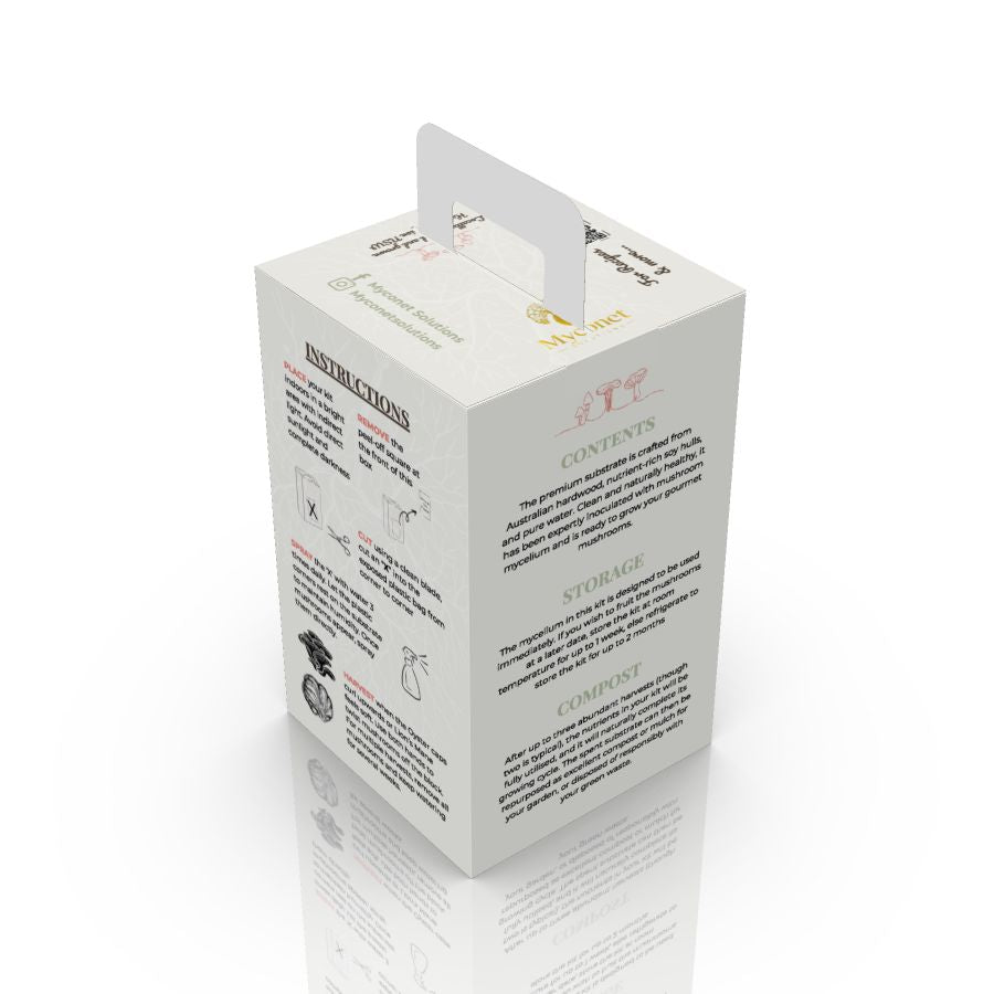 Mushroom Grow Kit - Lion's Mane