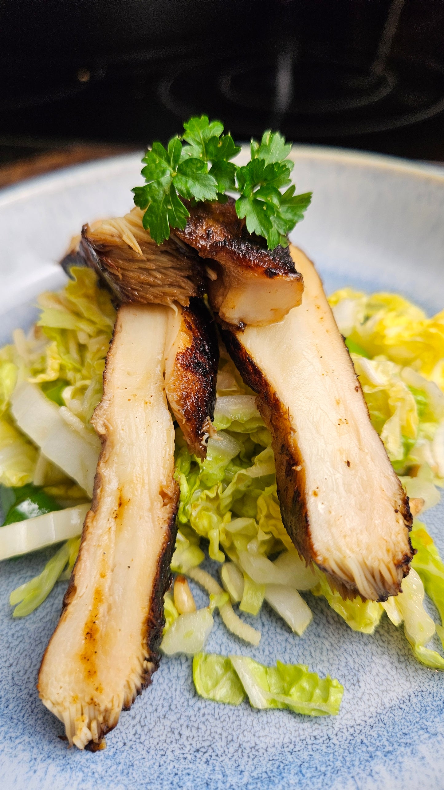 Lake Macquarie 4th June 6-7.30 pm The Mycelium Solution – Mushrooms, Sustainability &amp; Community