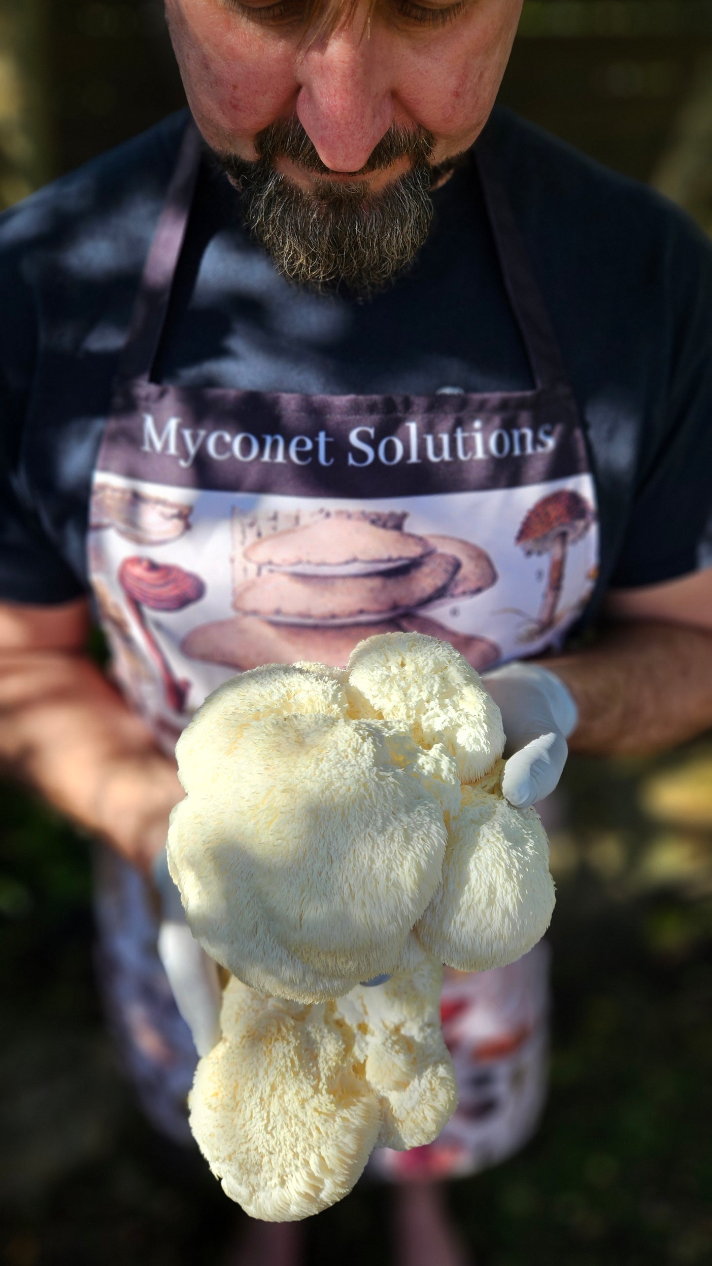 Lake Macquarie 4th June 6-7.30 pm The Mycelium Solution – Mushrooms, Sustainability &amp; Community